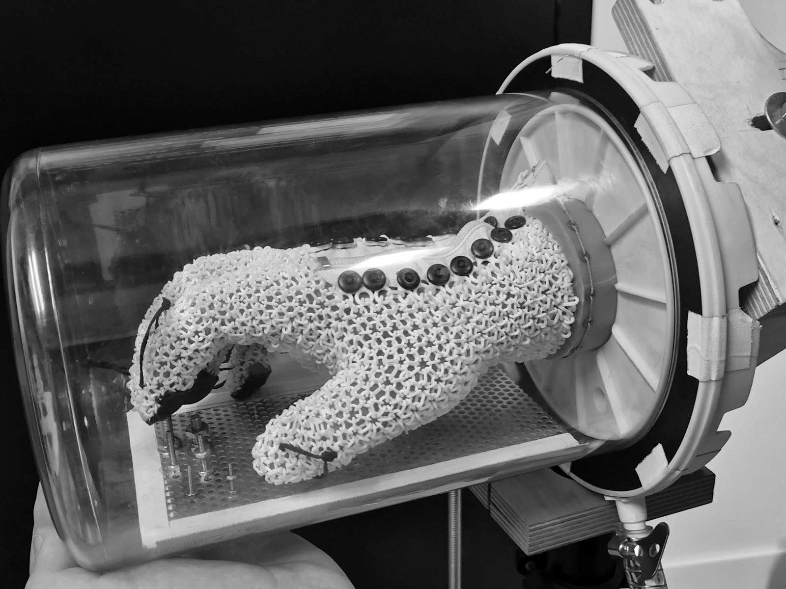The glove sealed into a vacuum chamber